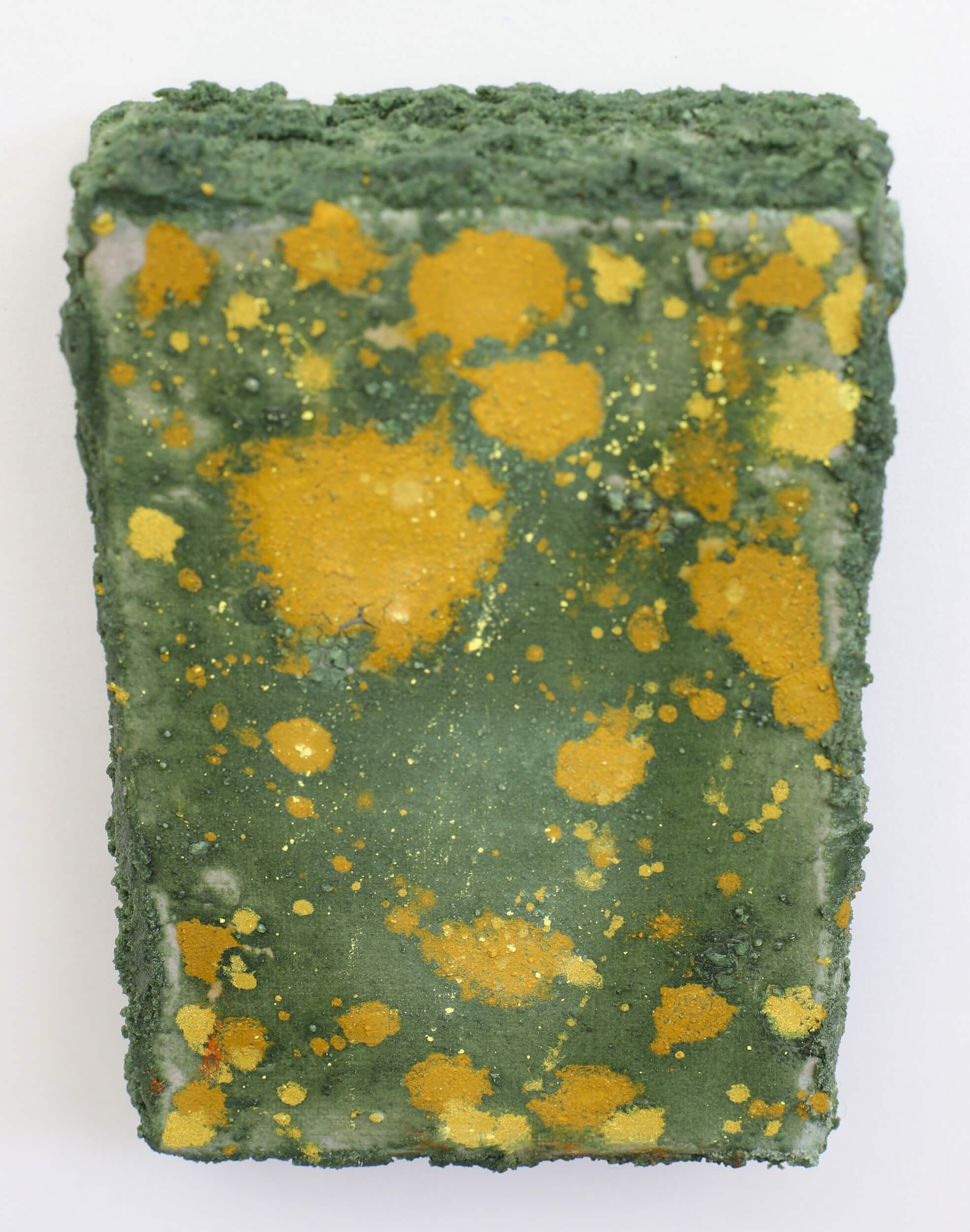 lichen-and-moss-abstract-artwork-diana-savostaite.jpg