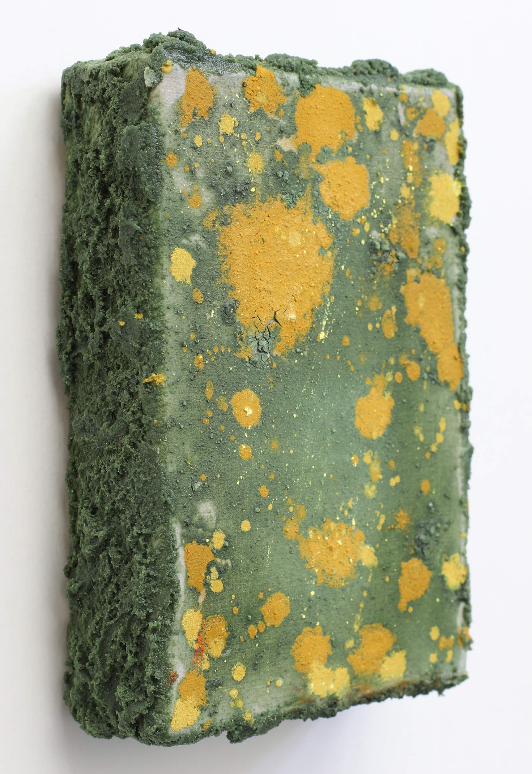 lichen-and-moss-green-painting-diana-savostaite.jpg