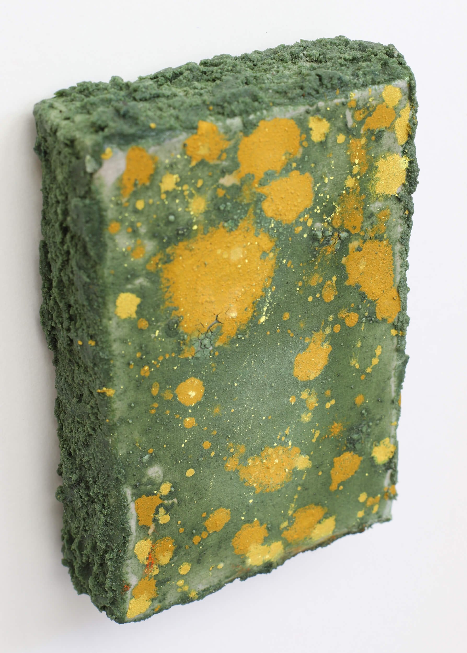 lichen-and-moss-small-artwork-diana-savostaite.jpg