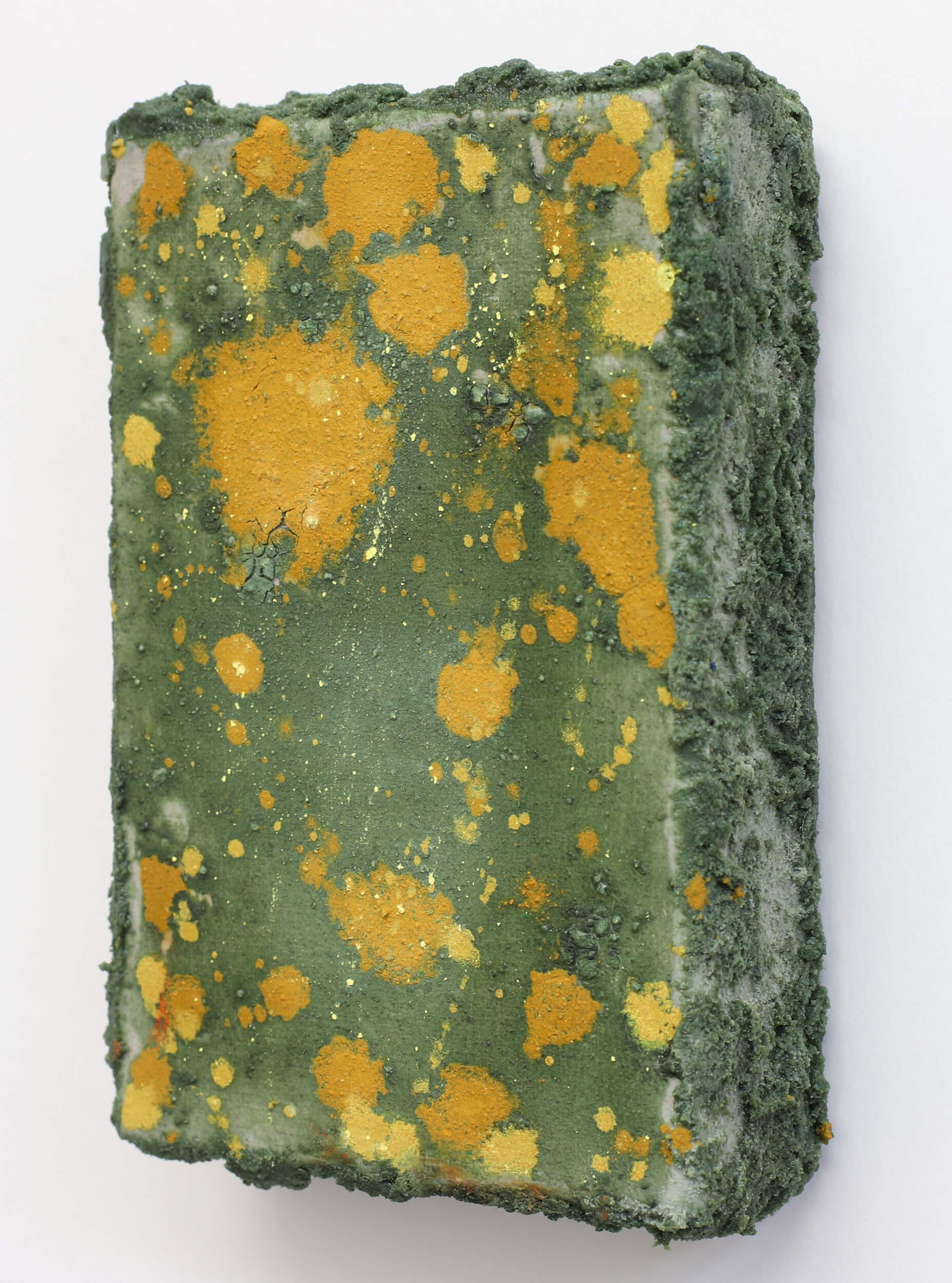 lichen-and-moss-yellow-painting-diana-savostaite.jpg