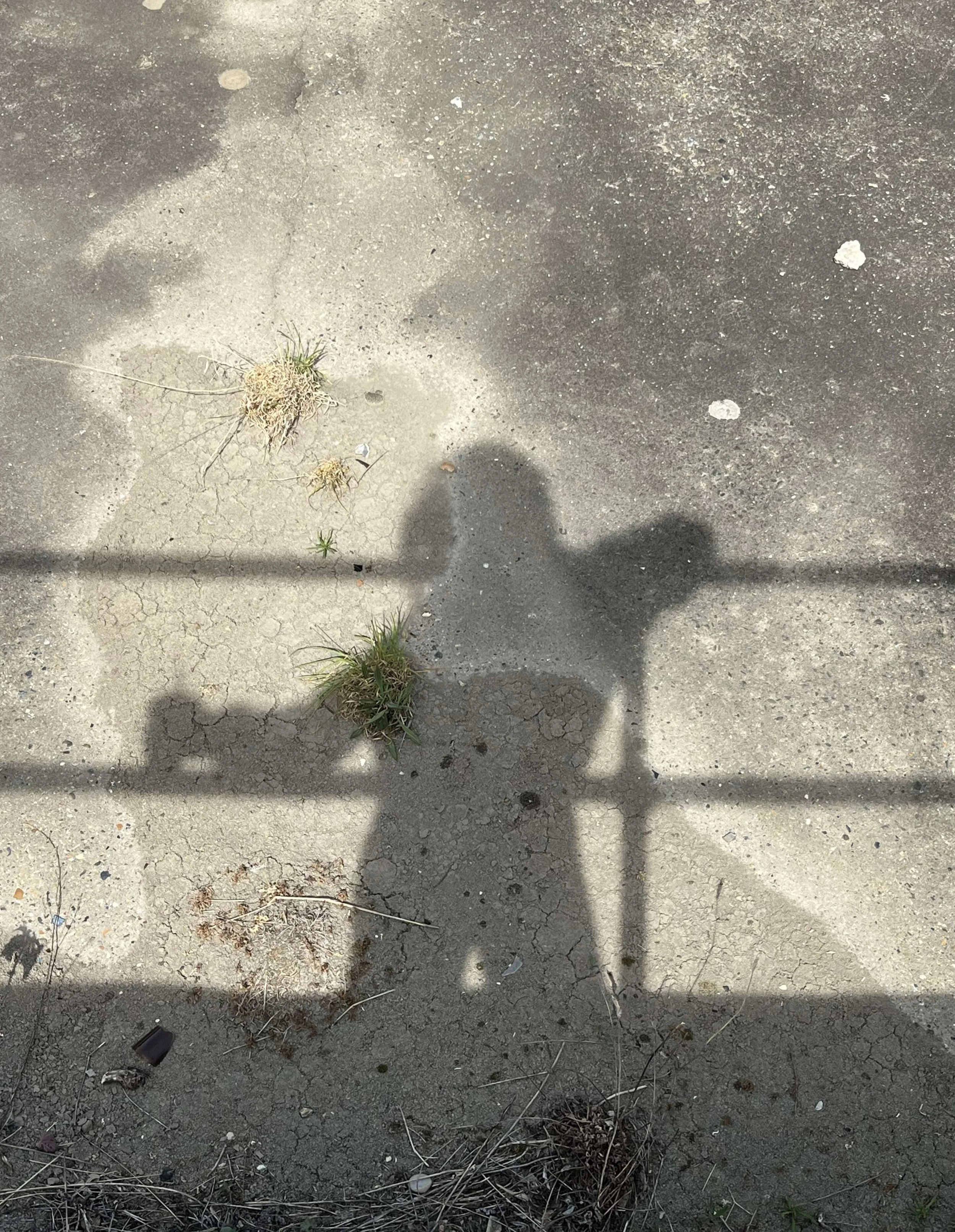shadows-pattersns (13).jpg