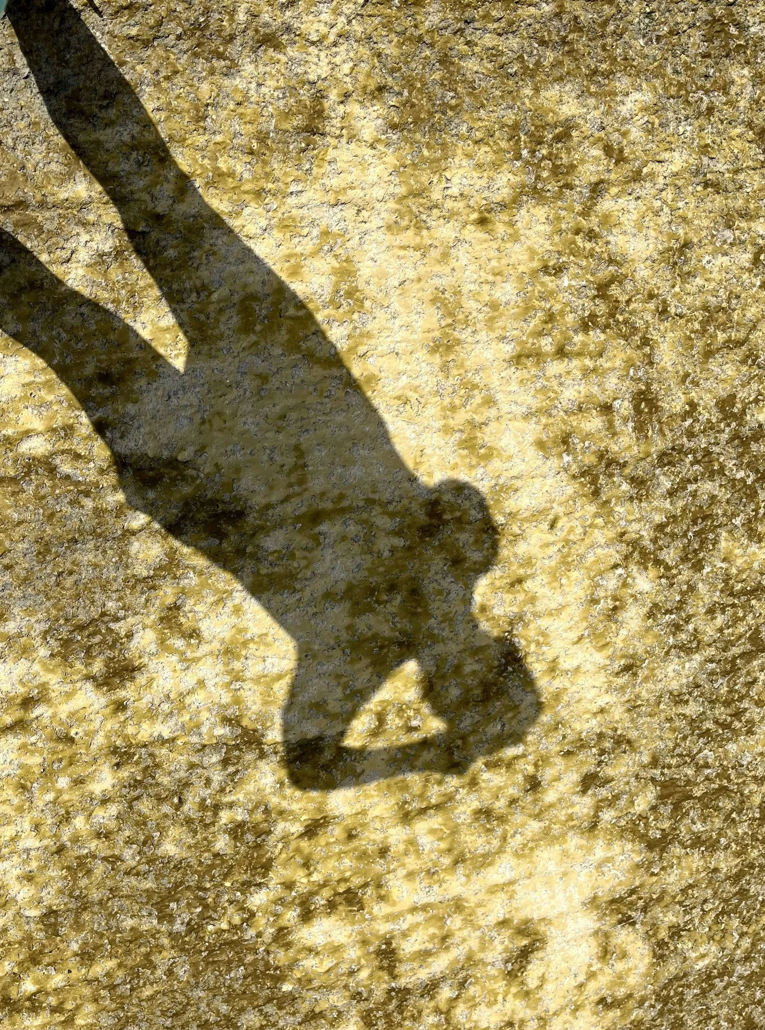 shadows-pattersns (18).jpg