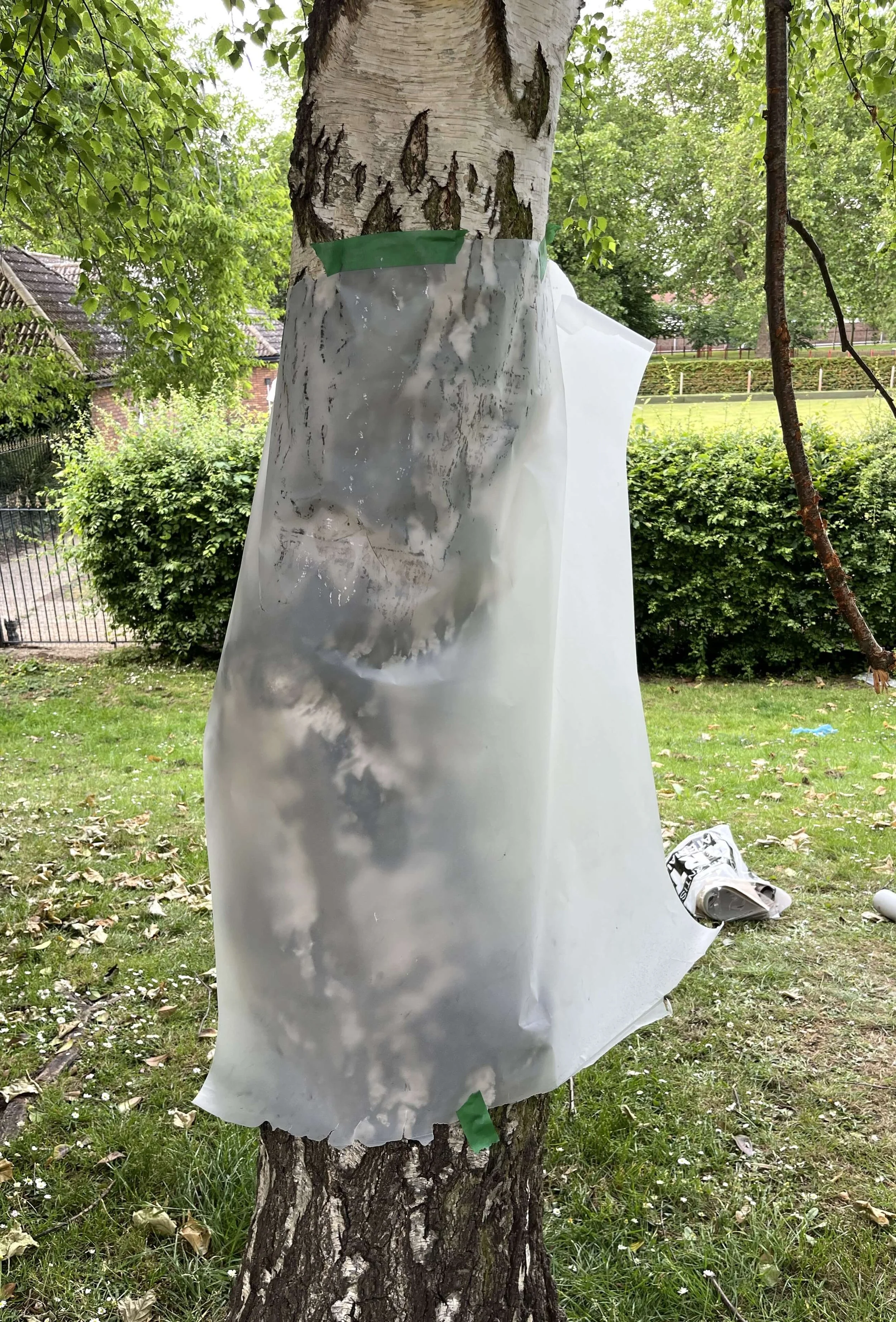 working-outdoors (4).jpg