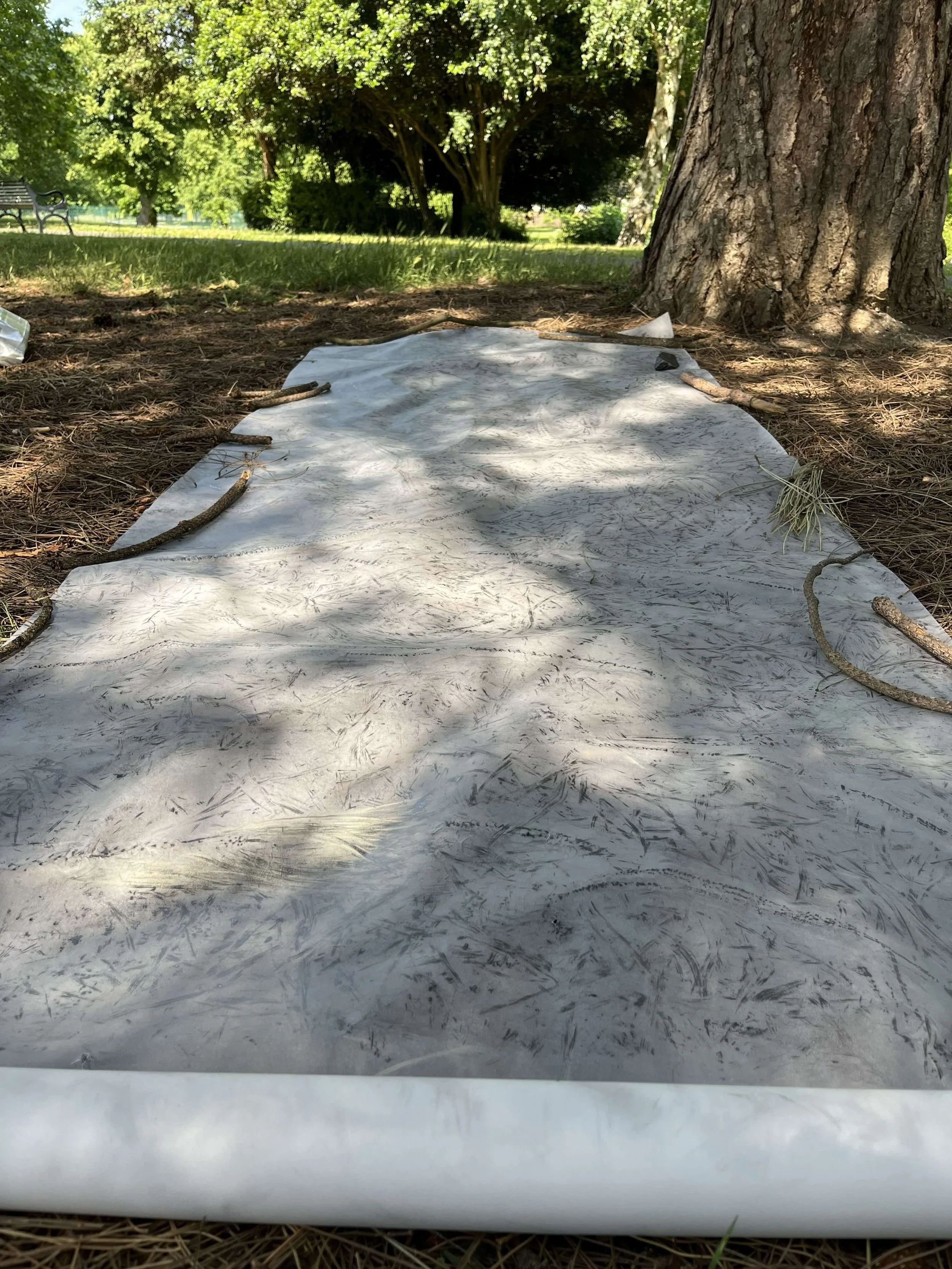 working-outdoors (6).jpg