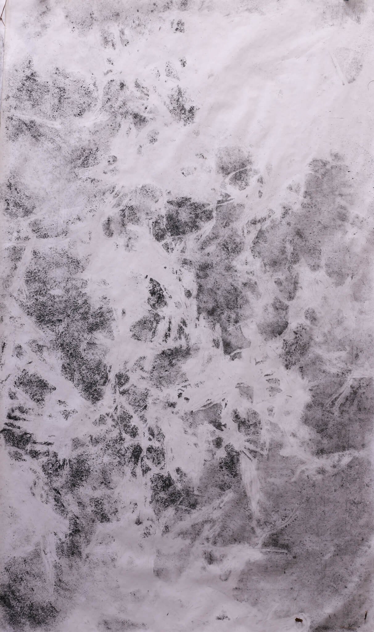 emerging-patterns 2.jpg