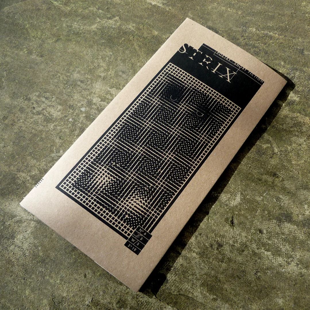 strix-6-cover.jpg