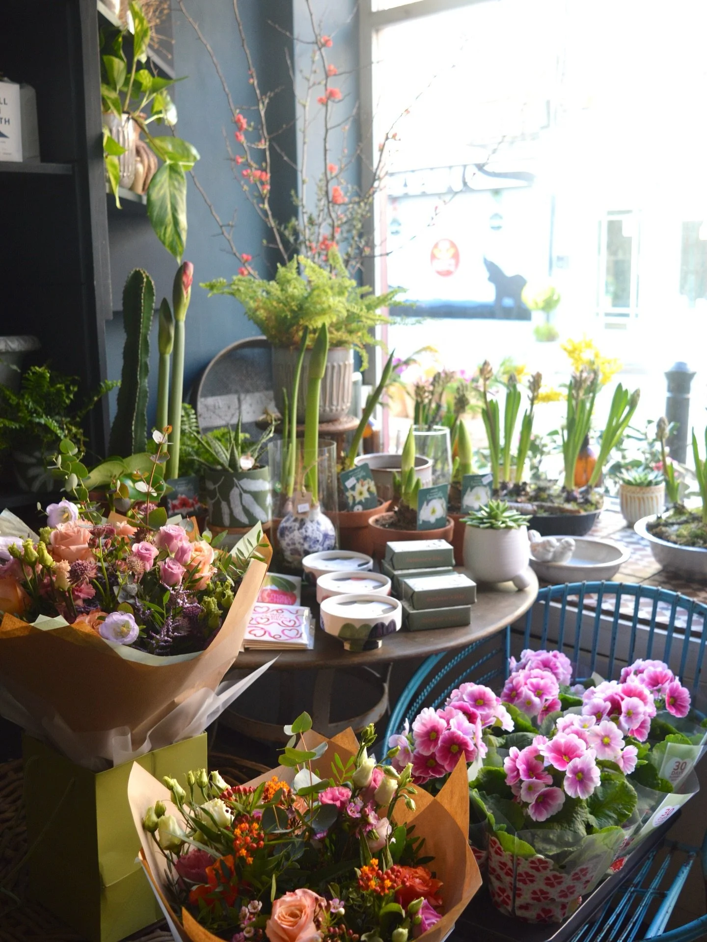 The Good Light ✨ New Season homewares, Spring bulbs &amp; indoor plants are in &amp; the shop looks wonderful if we do say so.