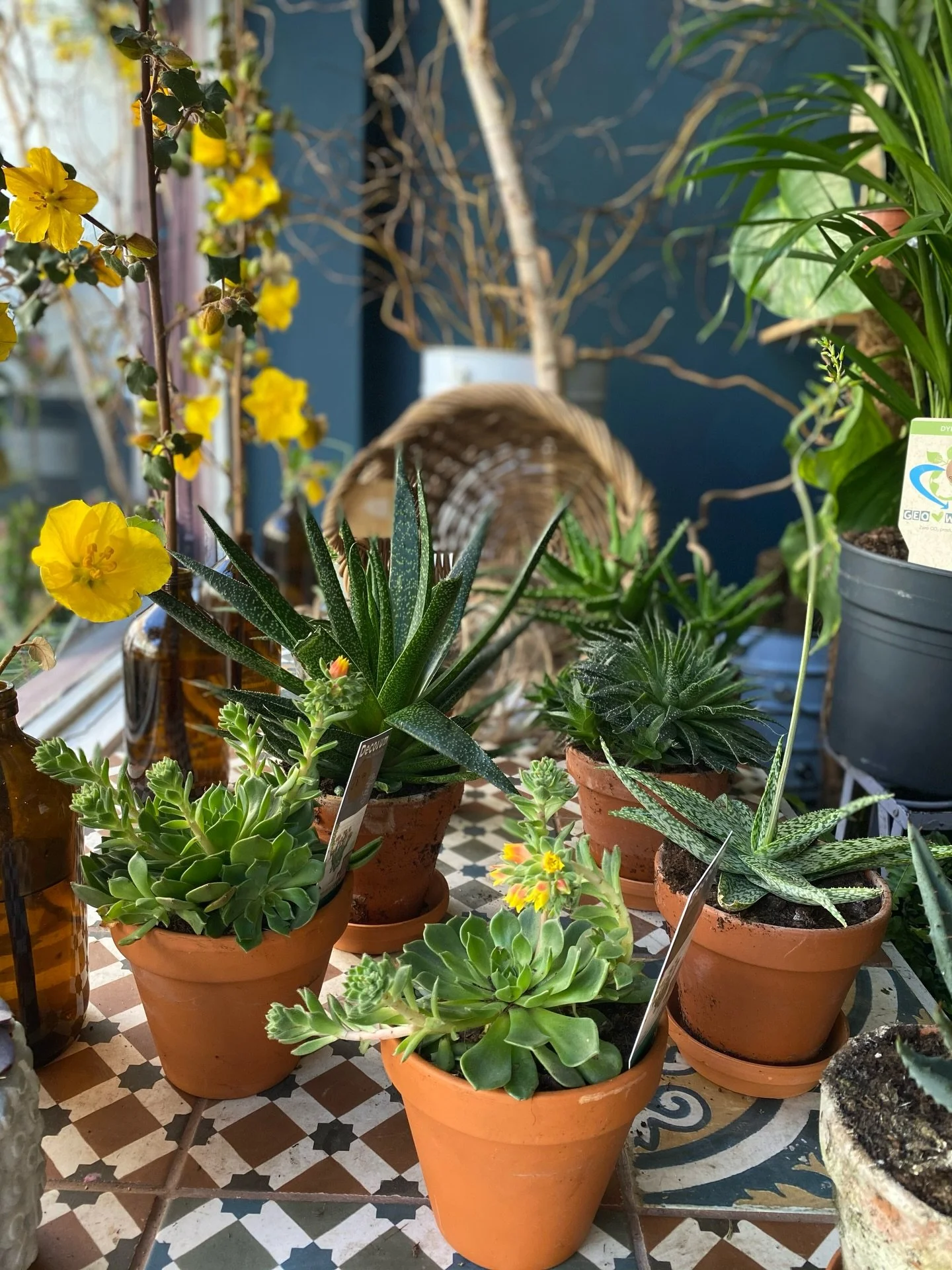 We are back after a little hibernation. 

Thank you to everyone who ordered online this week. 
We are open tomorrow 10am-3pm &amp; then open officially from Tuesday in store as usual (Tuesday to Saturday) 

Here&rsquo;s hoping for less of the bitter 