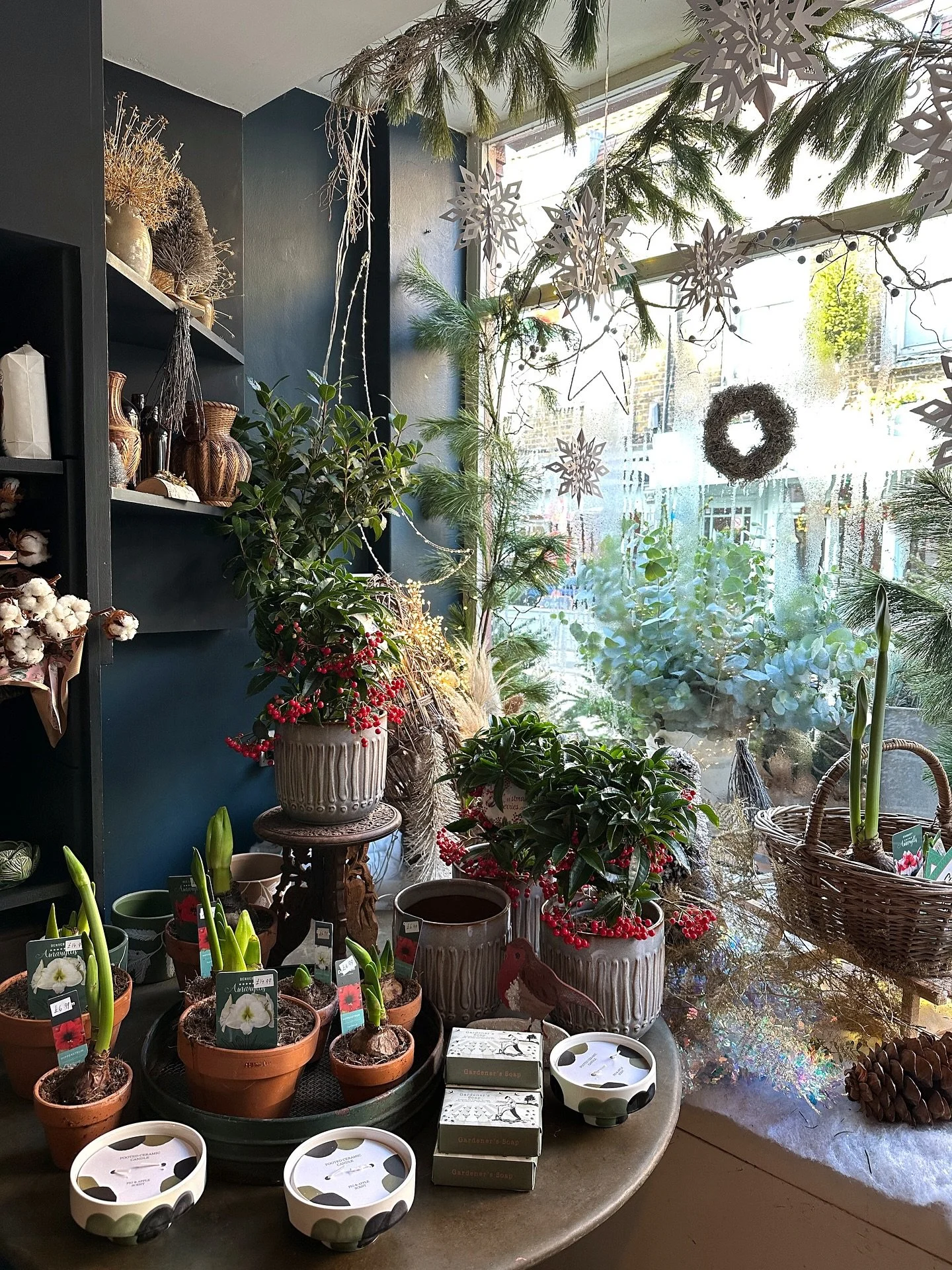 Winter light in the shop ✨ &amp; a fresh delivery of new gifts.

We are opening late this coming Thursday 18th along with the rest of Church Street 🤍