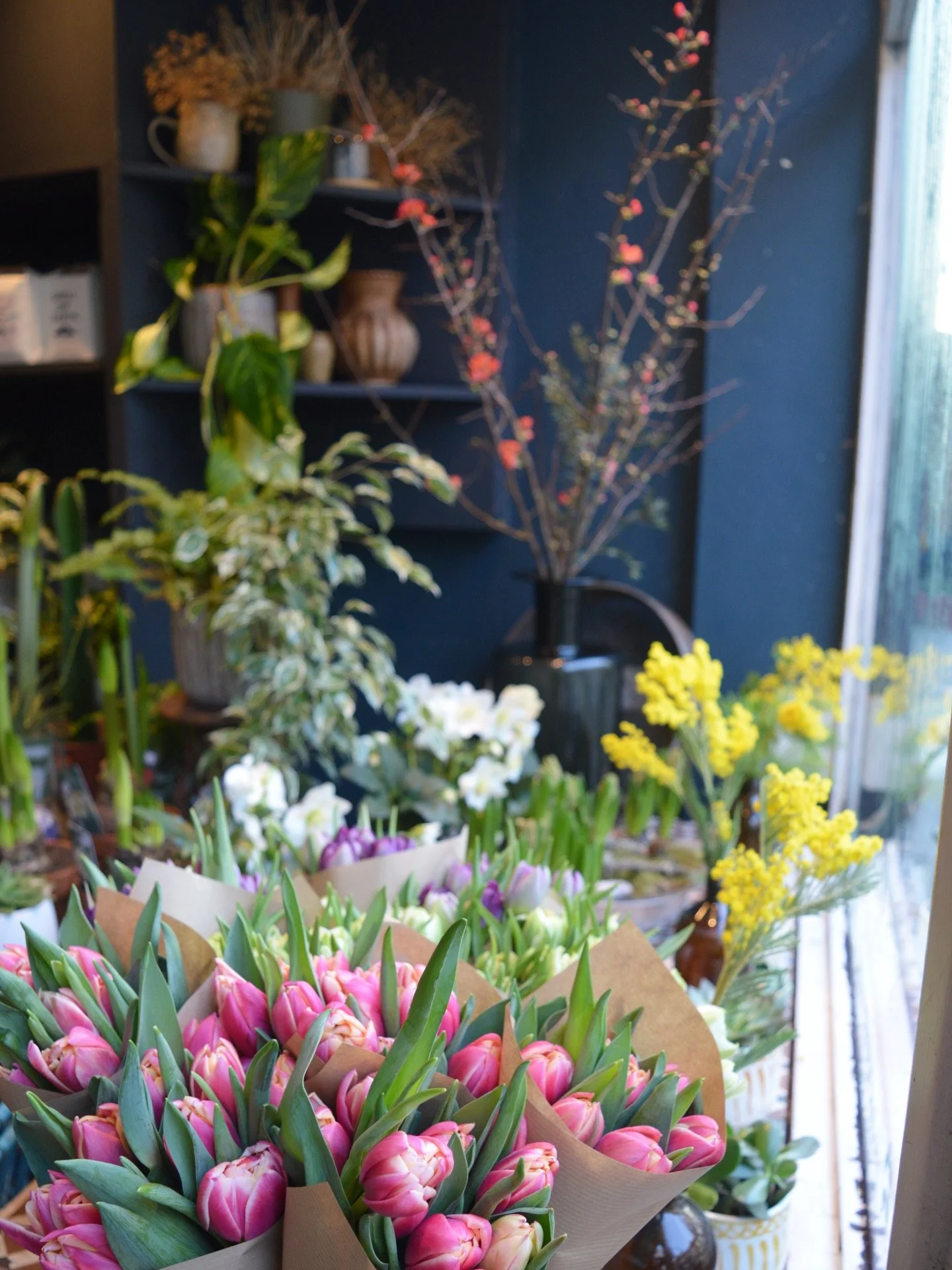 Pretending it&rsquo;s Spring in January 🌼