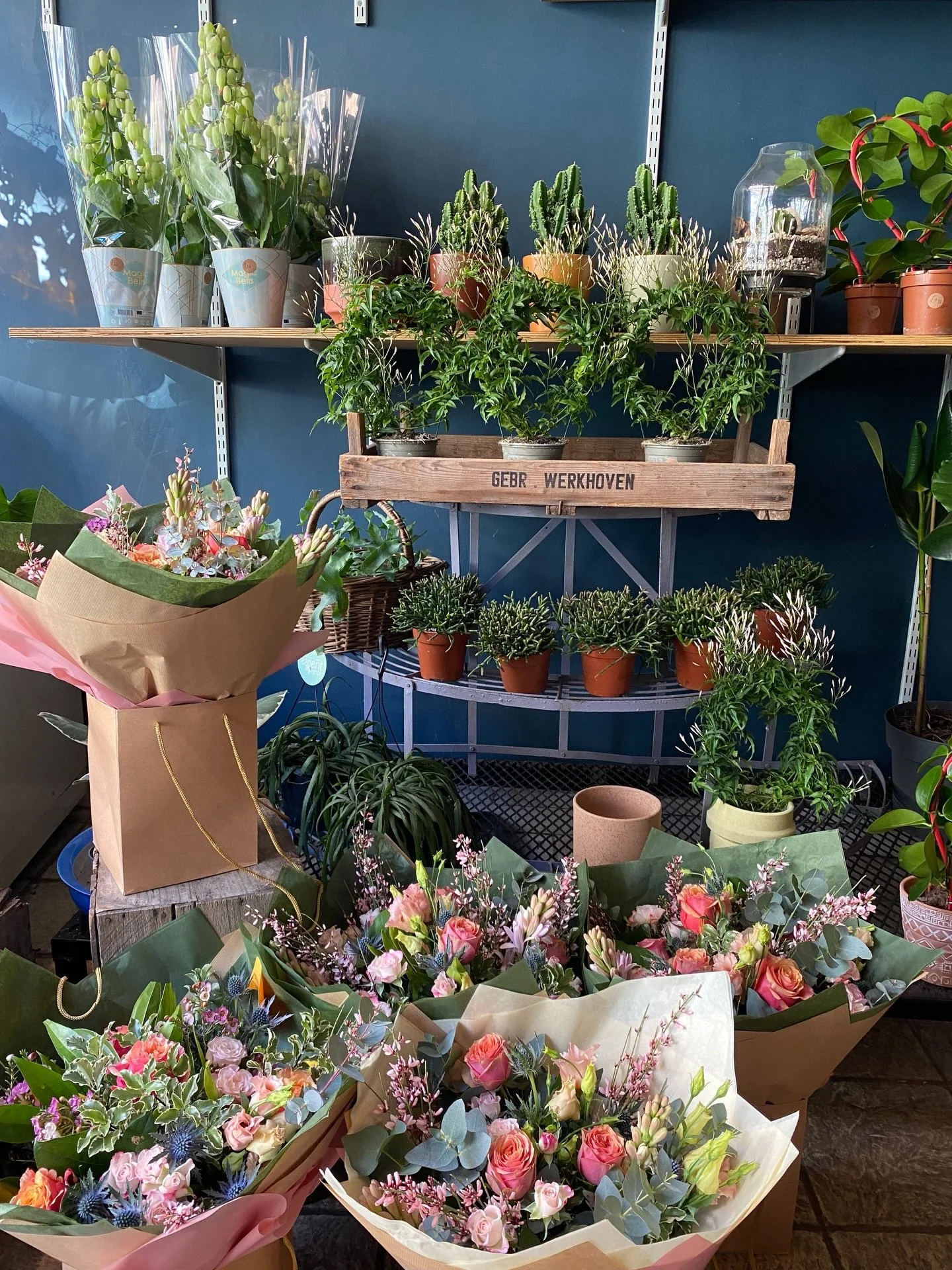 January in the shop, thanks for keeping us busy. 

 And psst... our Valentine's Day collection is now live, lovebirds! 💌