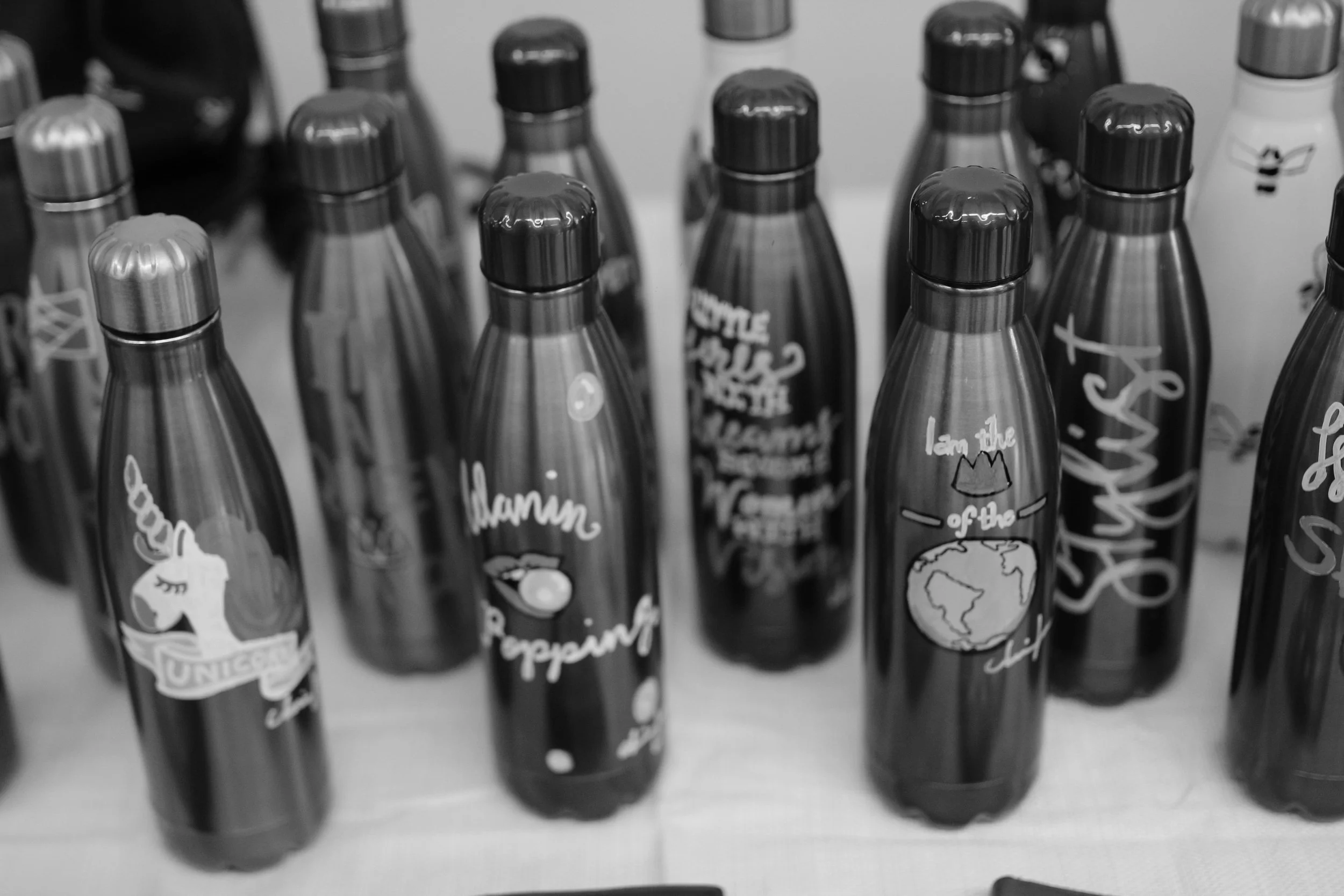 Hand-painted 25 oz Stainless Steel Water Bottles