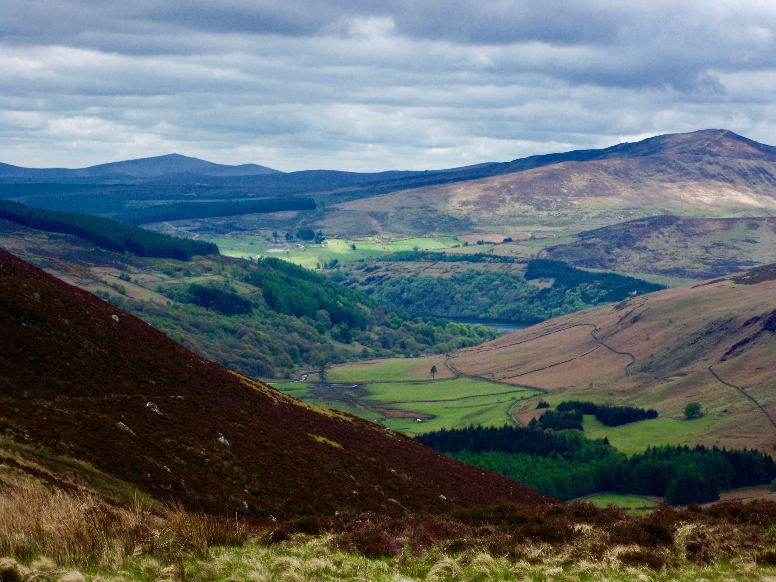 Wicklow Mountains National Park ~ Ireland