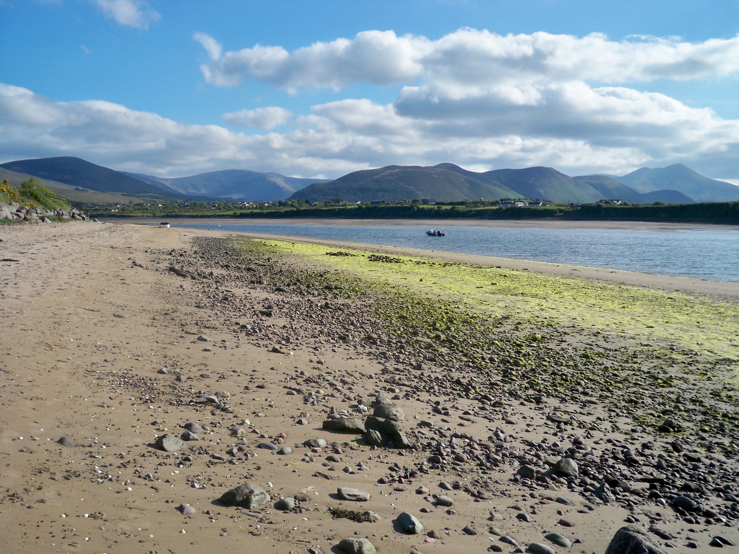 Beach Near Glenbeigh ~ Ring of Kerry, Ireland