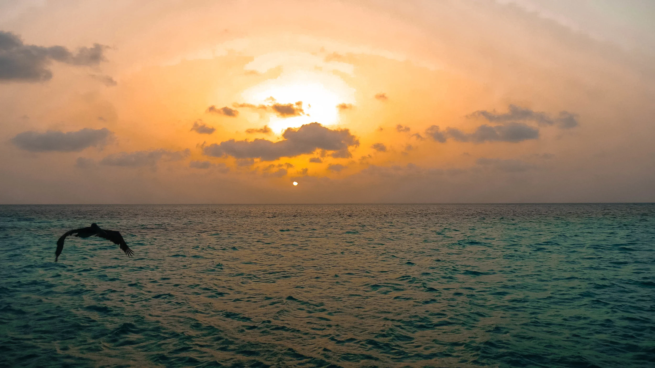 Coco Plum Island Resort ~ Belize