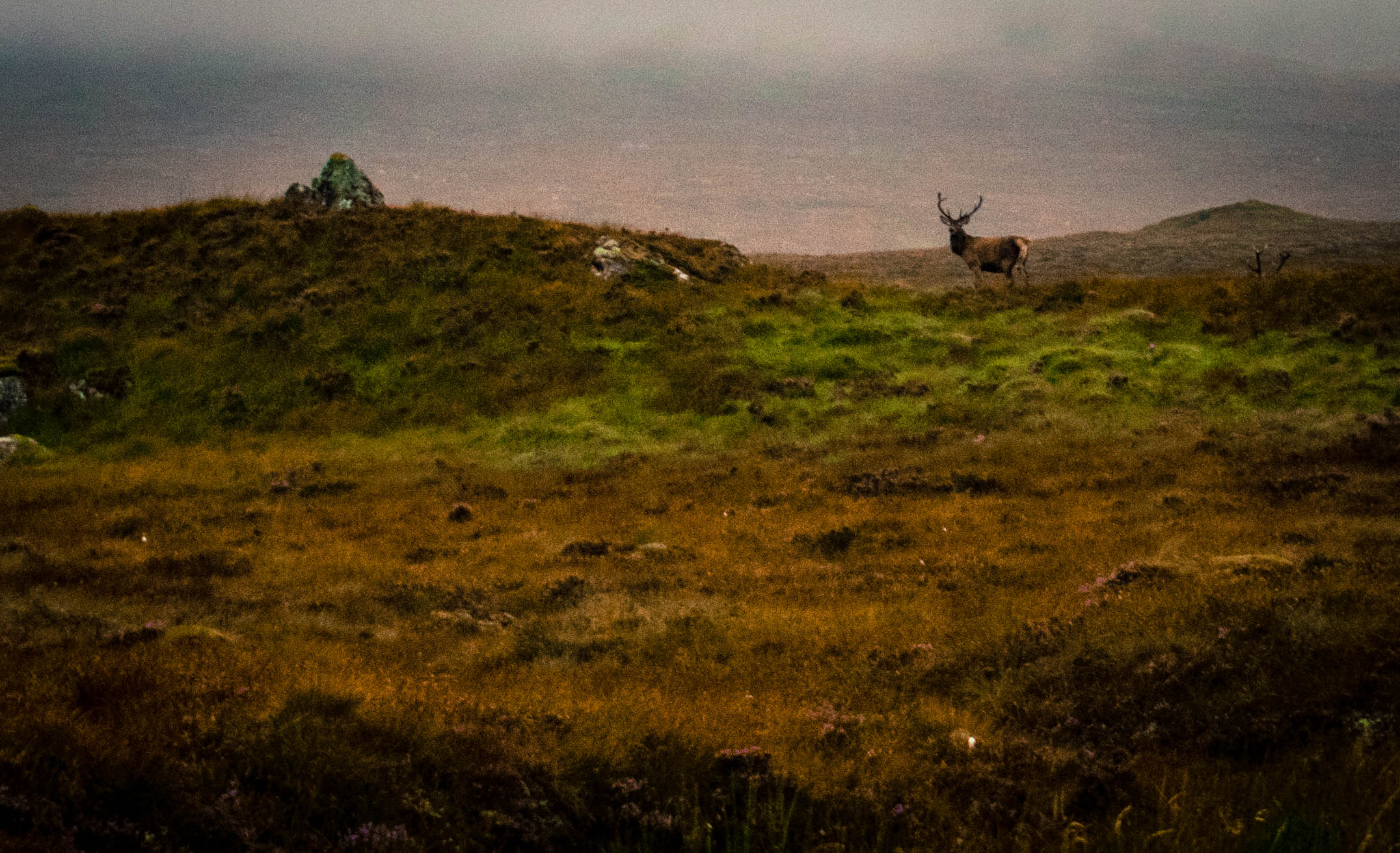 Corrour Station, Scotland