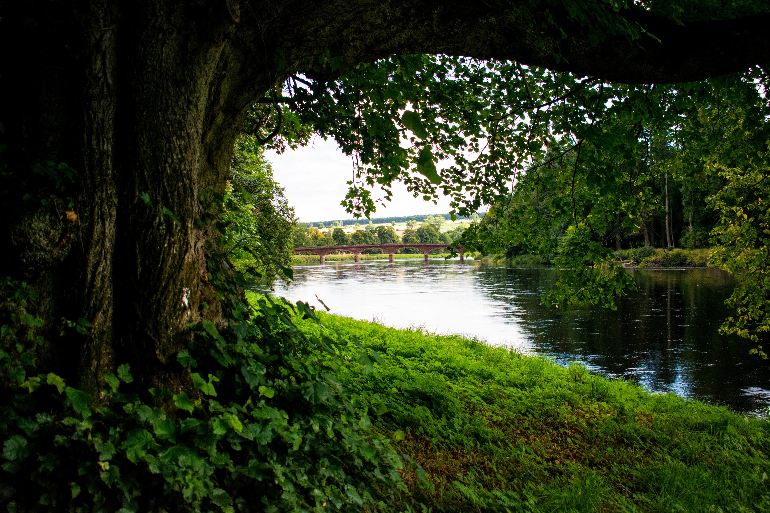 Salmon Fishing on the River Tay ~ Meikleour Arms