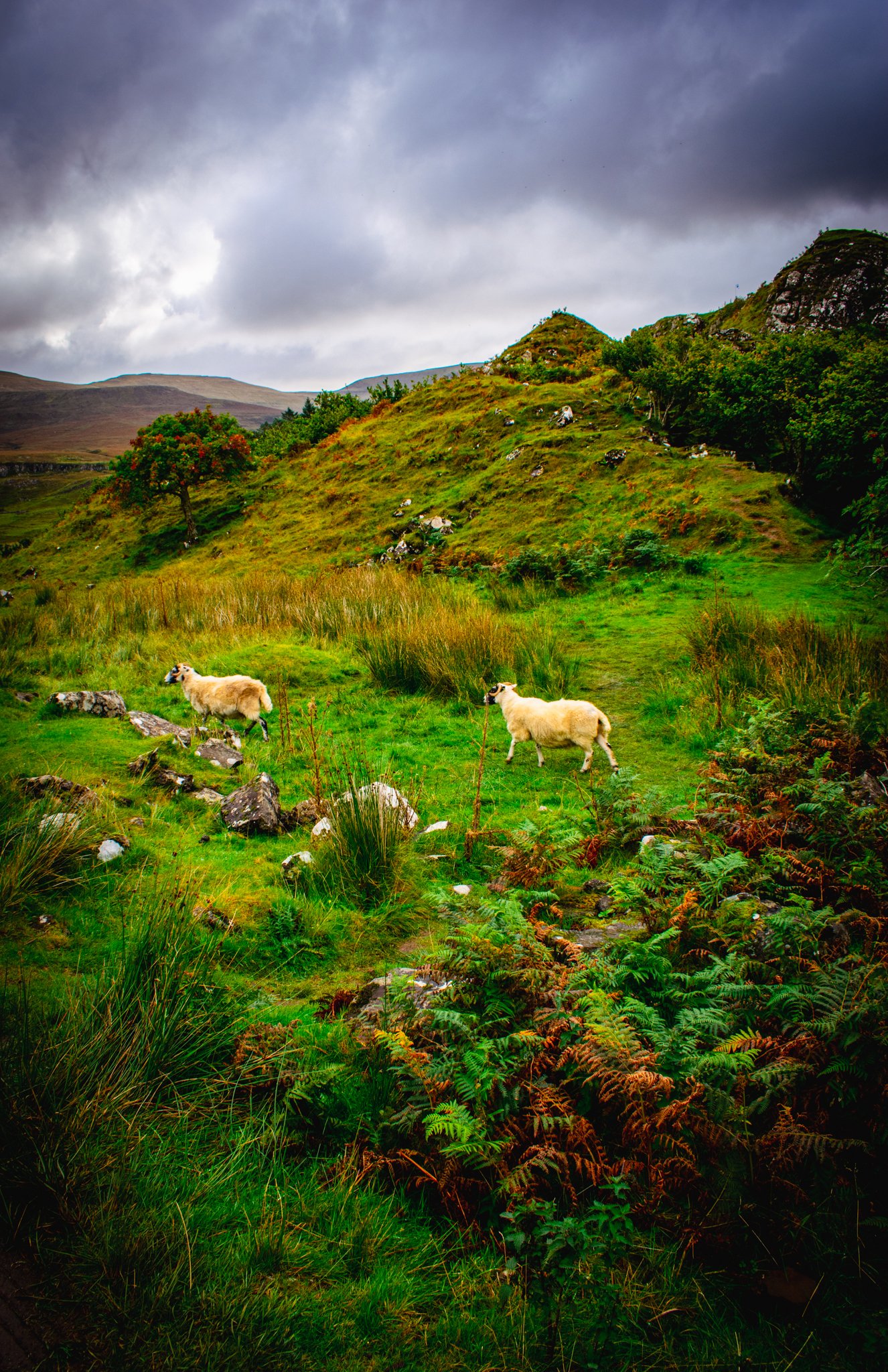 The Fairy Glen, Isle of Skye, Scotland