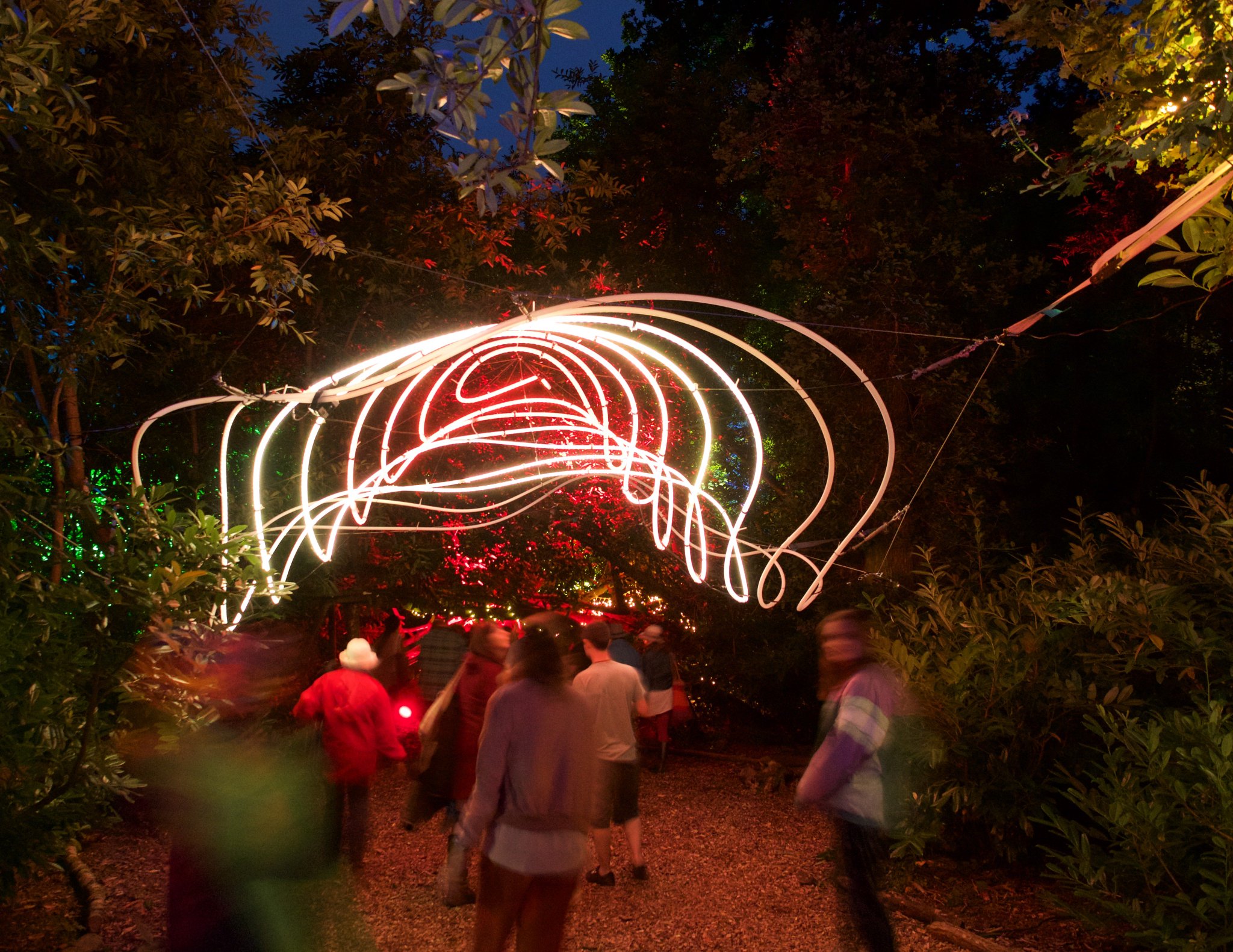 Spiral of Lights Interactive Installation in a Forest
