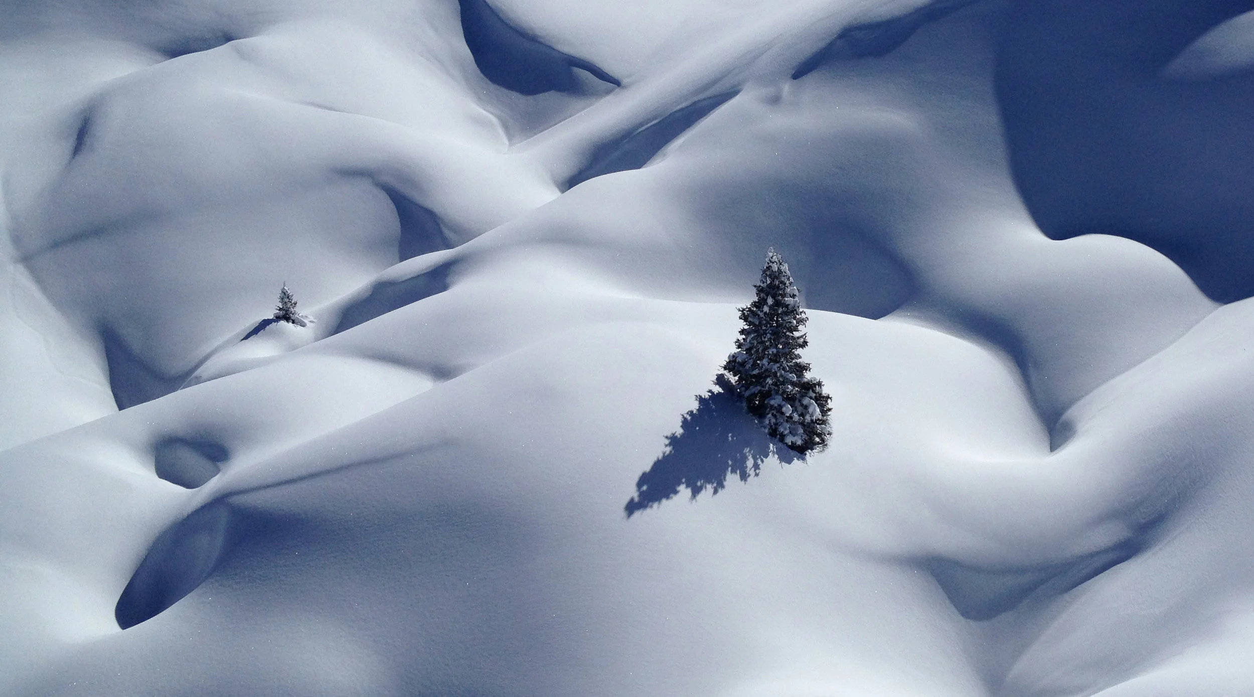 Isolated Alpine.jpg