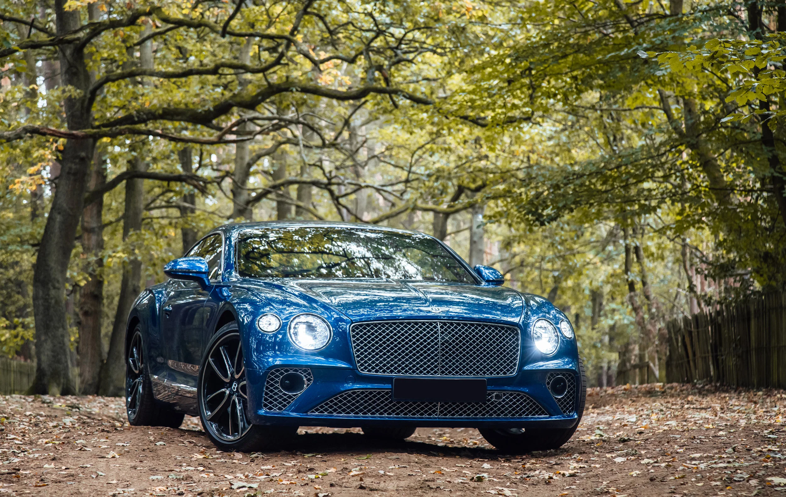 Bentley Hertfordshire Continental Final Image-17.jpg