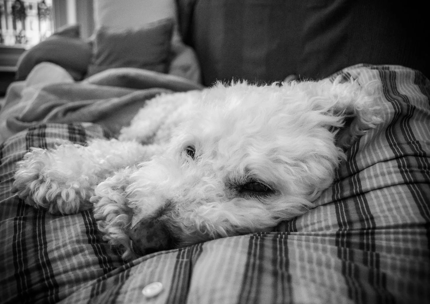 DSC_0006.jpg