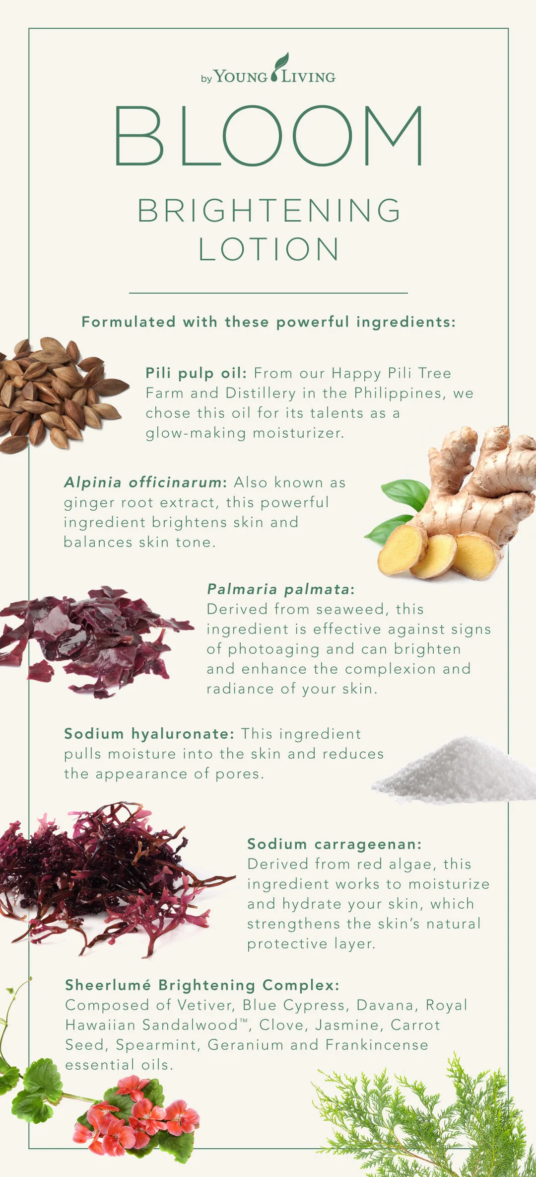 bloom skin care