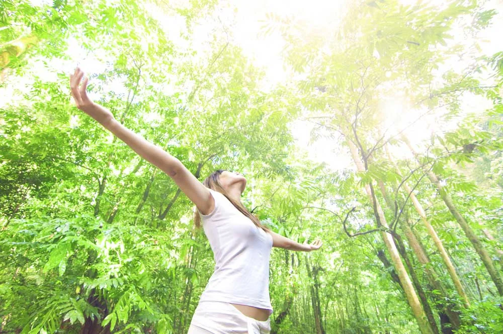 11 Best Sustainable and Eco-Friendly Home Improvements For Today