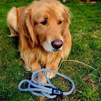 PupJoy Susatainable Dog Leash