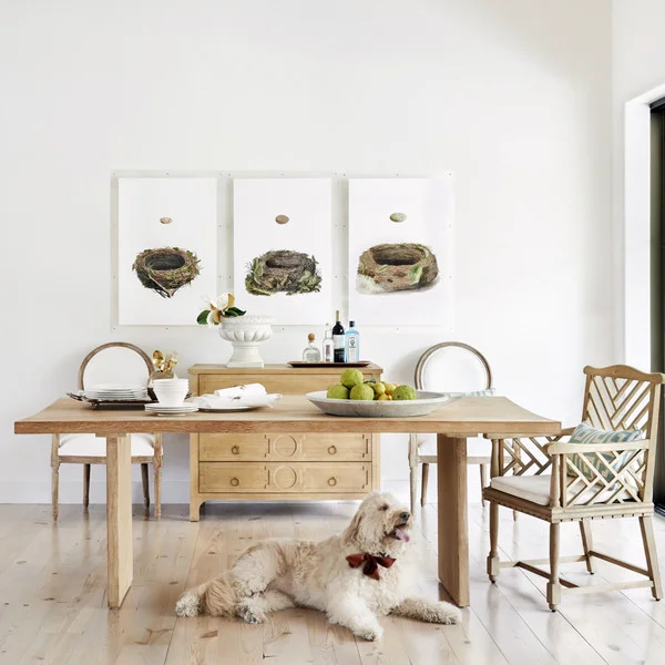 Best Sources for Sustainable Furniture: Eco-Friendly and Non-Toxic Options