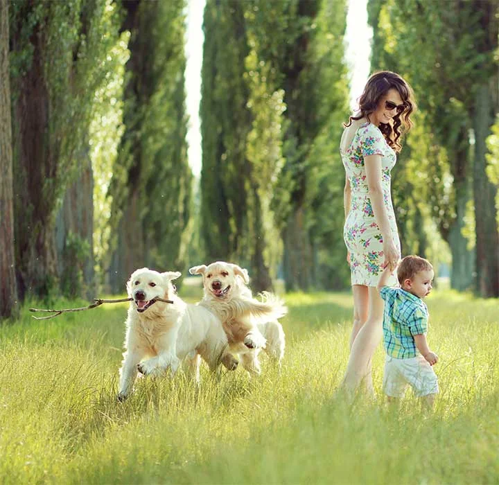 Avocado Green Eco-Friendly and Natural Latex Mattress