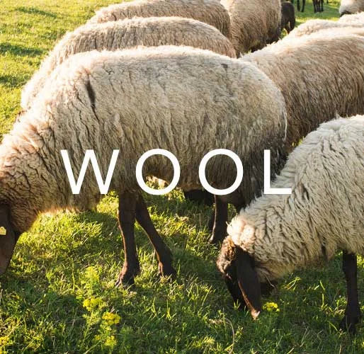 GOTS Certified Organic Wool is used in Avocado Mattresses