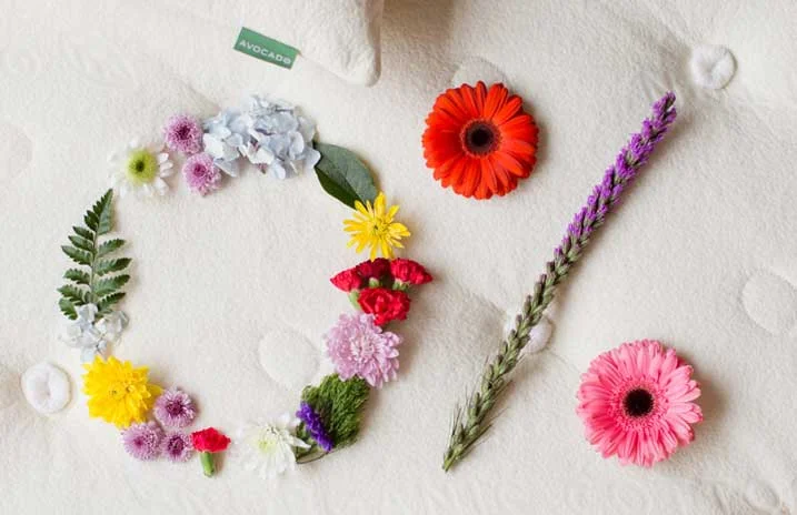 Avocado Mattress Financing