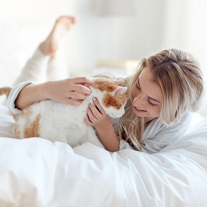 PlushBeds Affordable Mattress