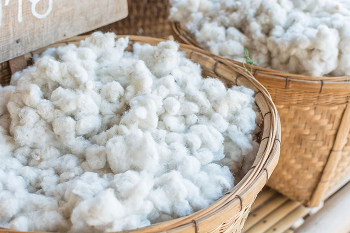 4 Polyfill Alternatives for Sustainable Stuffing