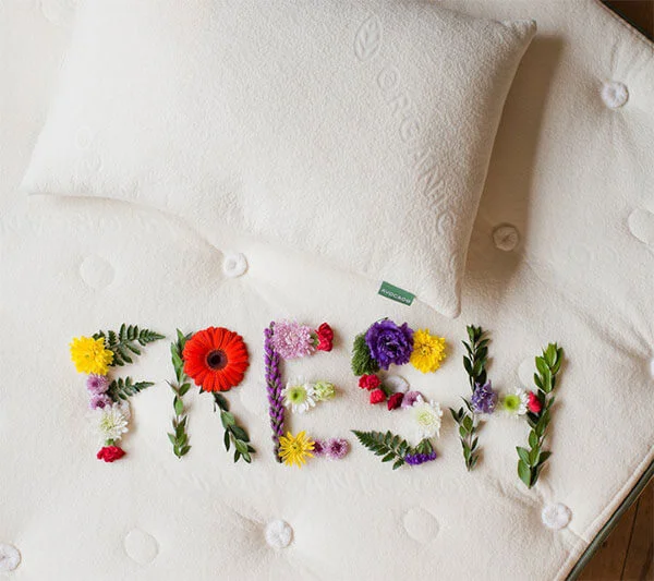 10 Best Natural, Eco Friendly & Organic Pillows to Buy