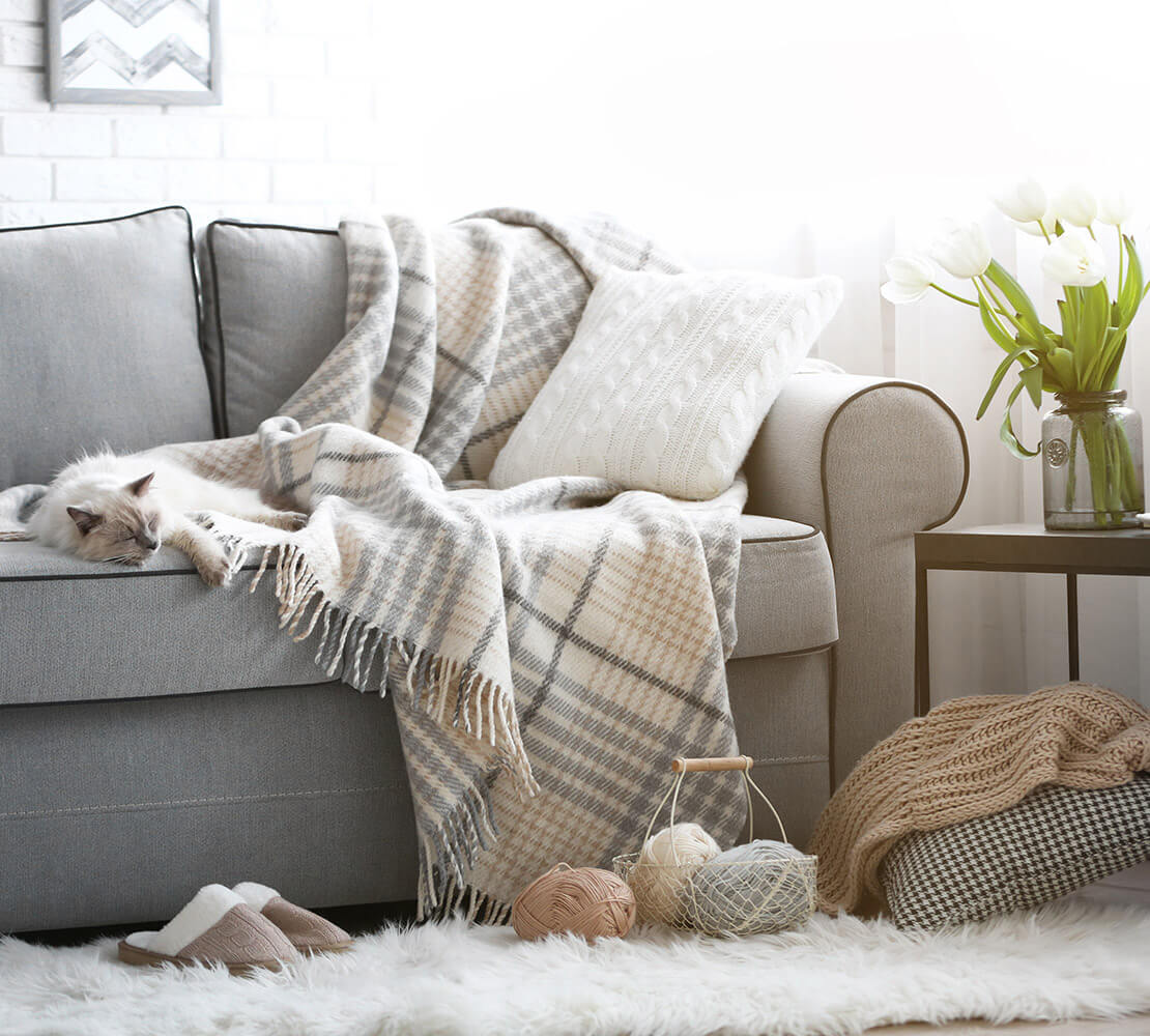 Non-Toxic and Sustainable Sofas and Couches: Top Organic Choices