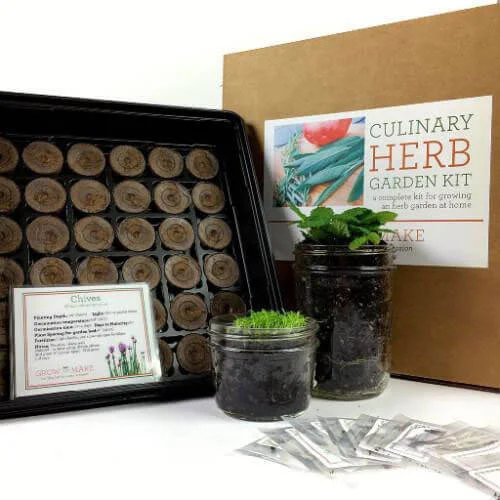 Grow and Make Culinary Herb DIY Garden Starter Kit