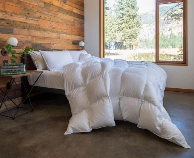 Feathered Friends Bavarian Arctic 700 Down Comforter