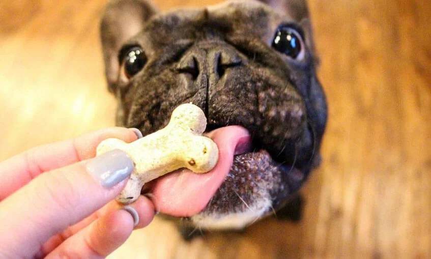 Canna Pet Advanced Hemp Supplements for Small Pets