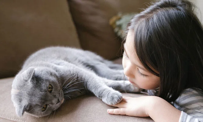 Pet Wellbeing Hairball Gold