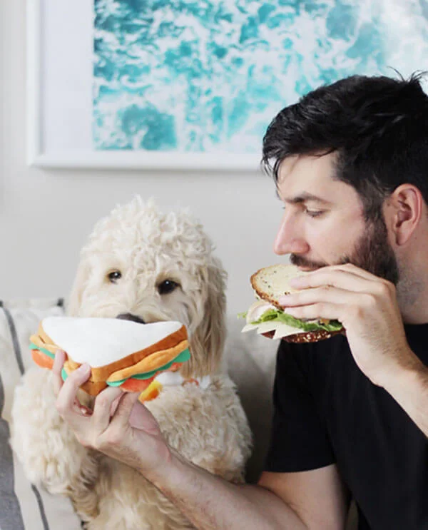 The Dapper Dog Box Sandwich Toy