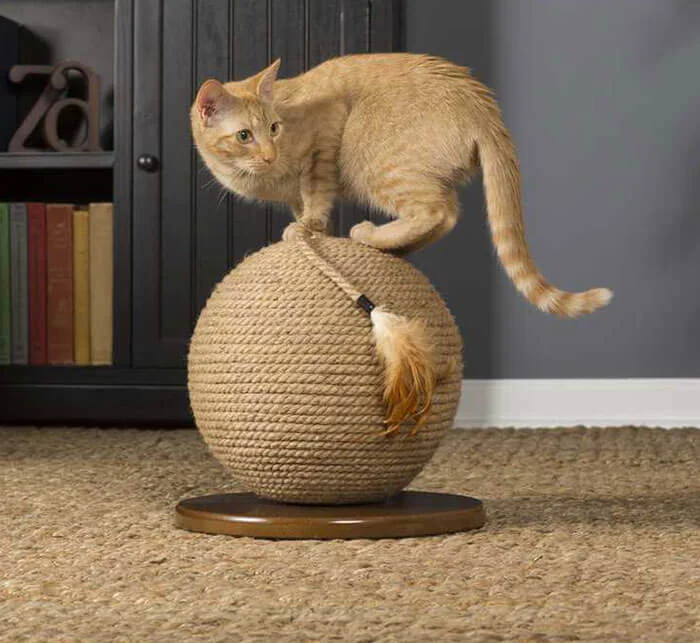 Cats Play Cat Power Scratching Sphere with Tassel Toy