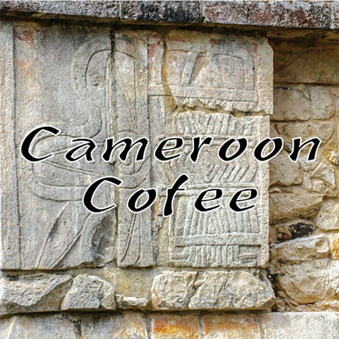 Volcanica Cameroon Organic Coffee