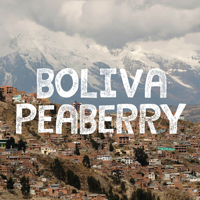 Volcanica Bolivia Peaberry Organic Coffee