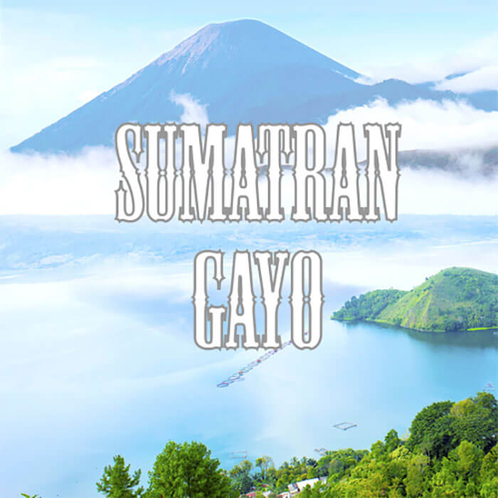 Volcanica Sumatran Gayo Coffee