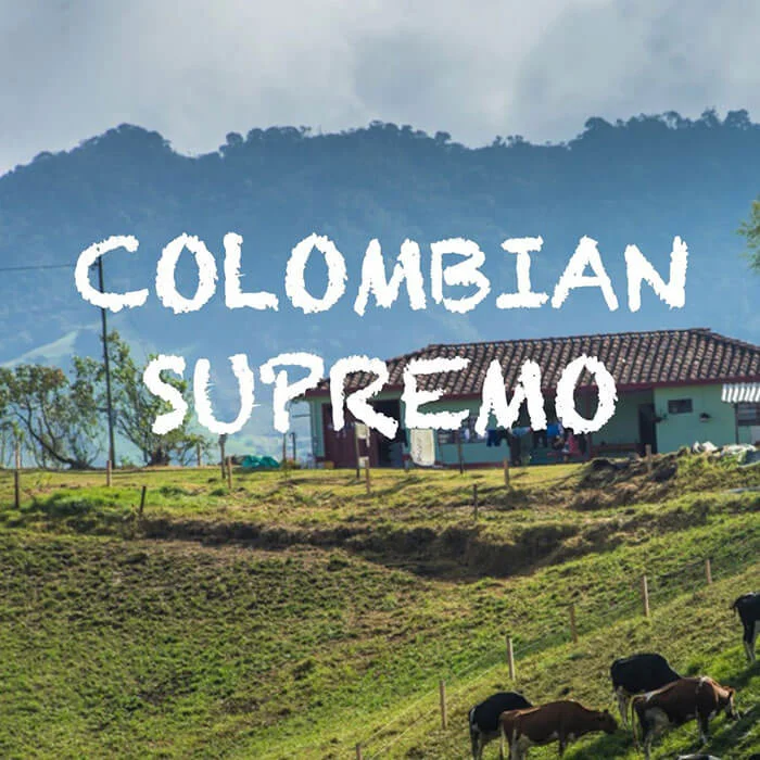 Volcanica Colombian Supremo Coffee