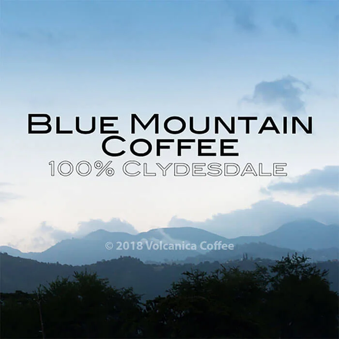 Volcanica Blue Mountain Clydesdale Coffee