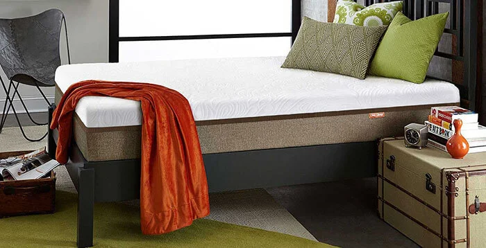 Latex vs Memory Foam