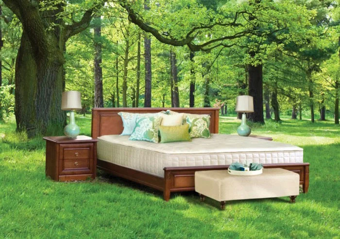 Naturepedic Vegan EOS Trilux Organic Mattress